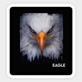 Eagle sharp ege Sticker